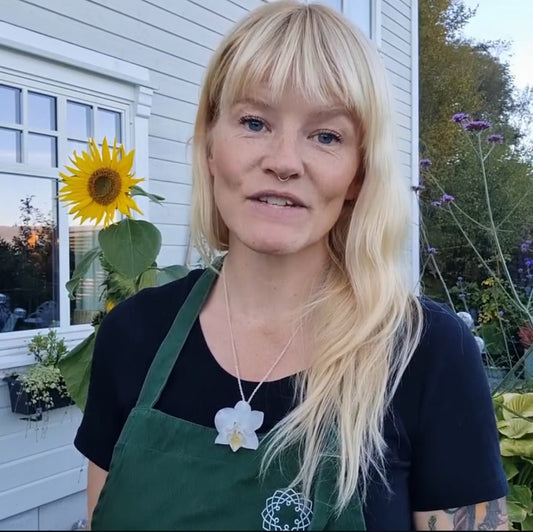 KREM ORKIDÉ blomstersmykke, ekte 3D-tørkede medium blomster, 925 sølvkjede - KNASK