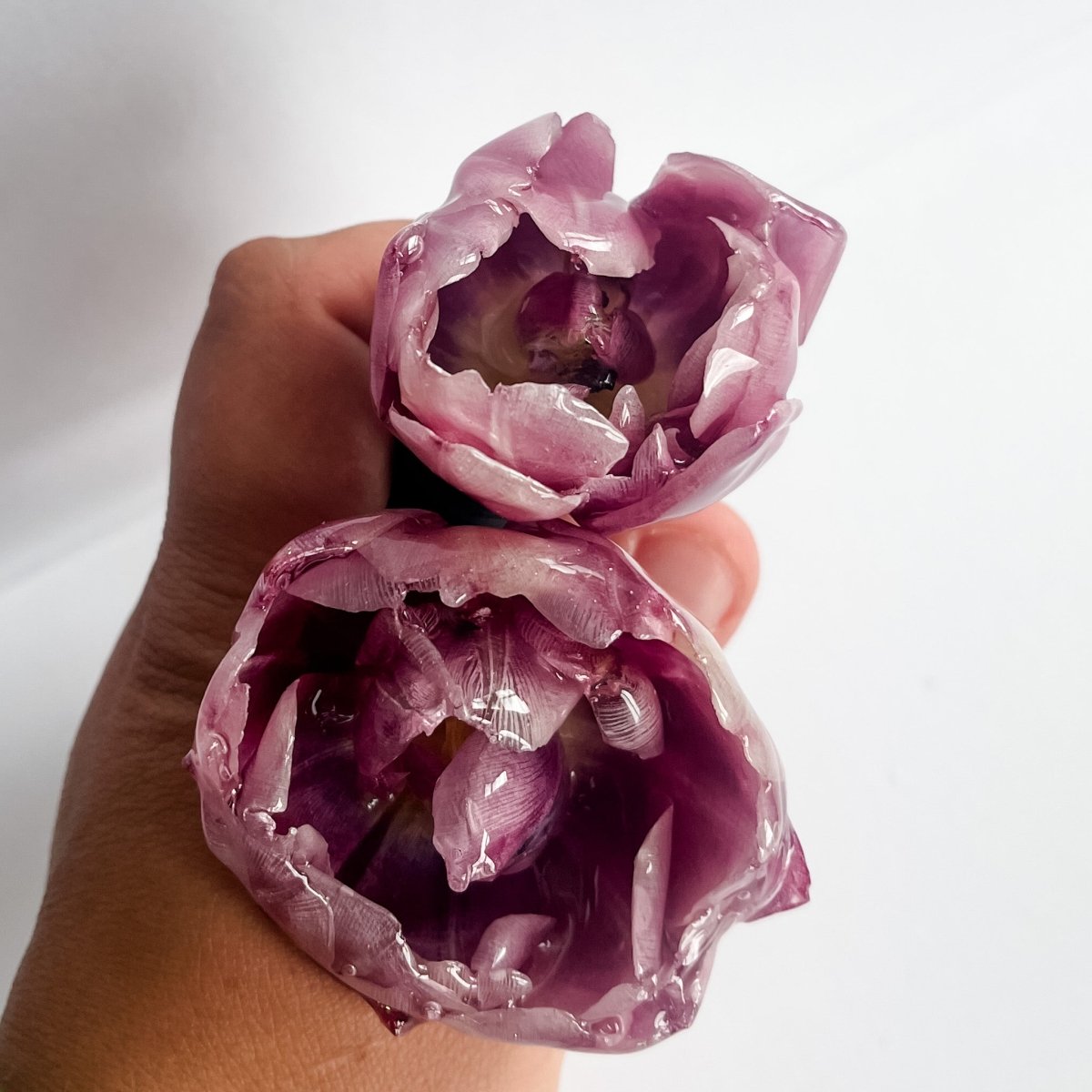 LILLA TULIPAN 3D vinstopper, tørket blomst - Interiør KNASK