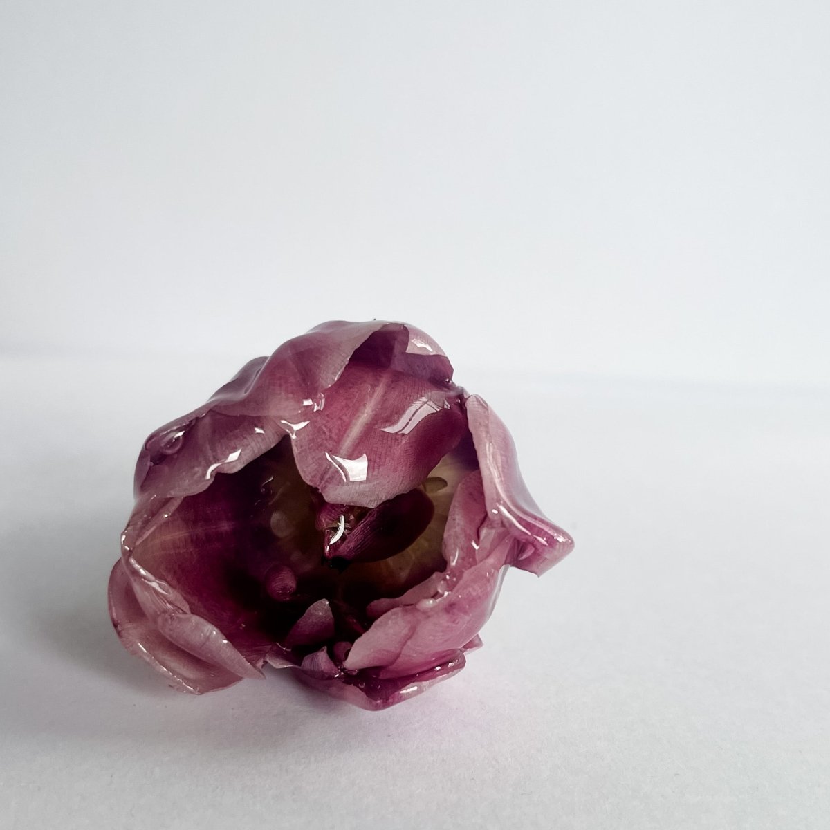 LILLA TULIPAN 3D vinstopper, tørket blomst - Interiør KNASK