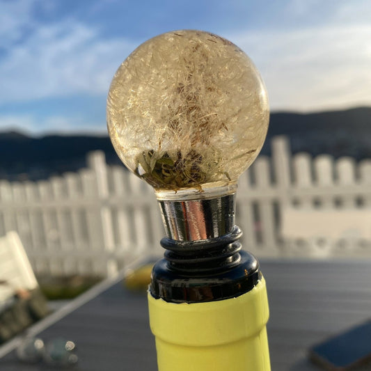 LØVETANN BLÅSEBLOMST vinstopper, ekte tørket blomst - Interiør KNASK