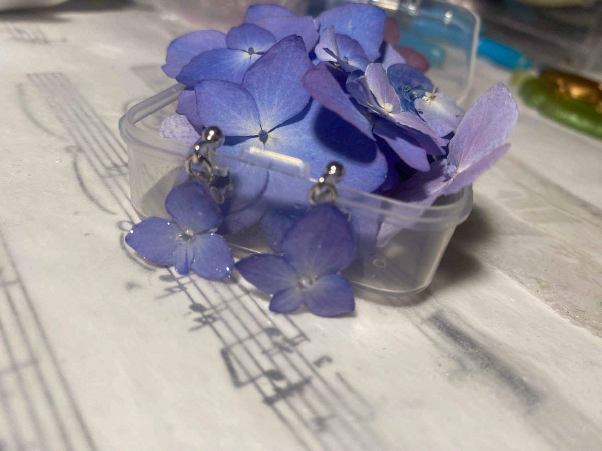 Lyseblå hortensia øredobber, 925 sølv ørestikker med lås - KNASK