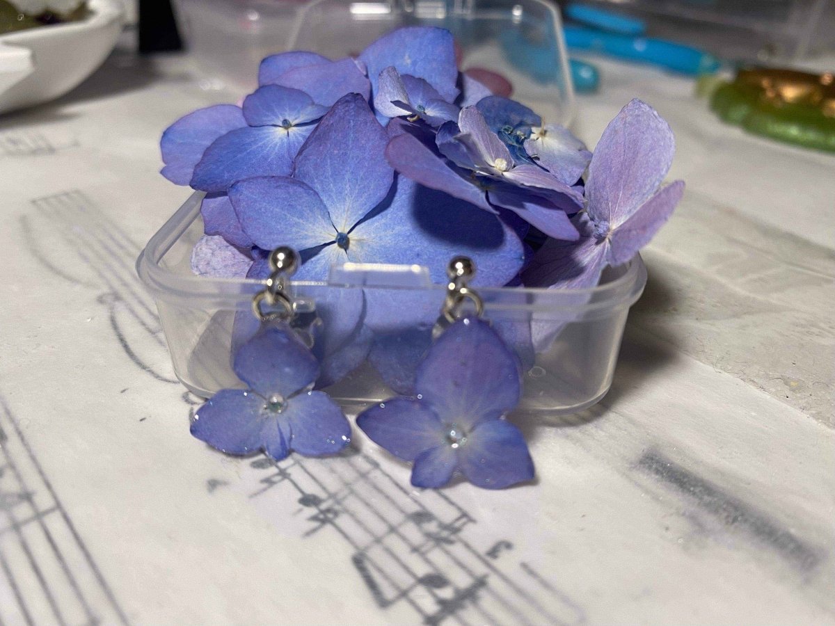 BLÅ HORTENSIA øredobber, ekte 3D-tørkede blomster, 925 sølv ørestift - KNASK