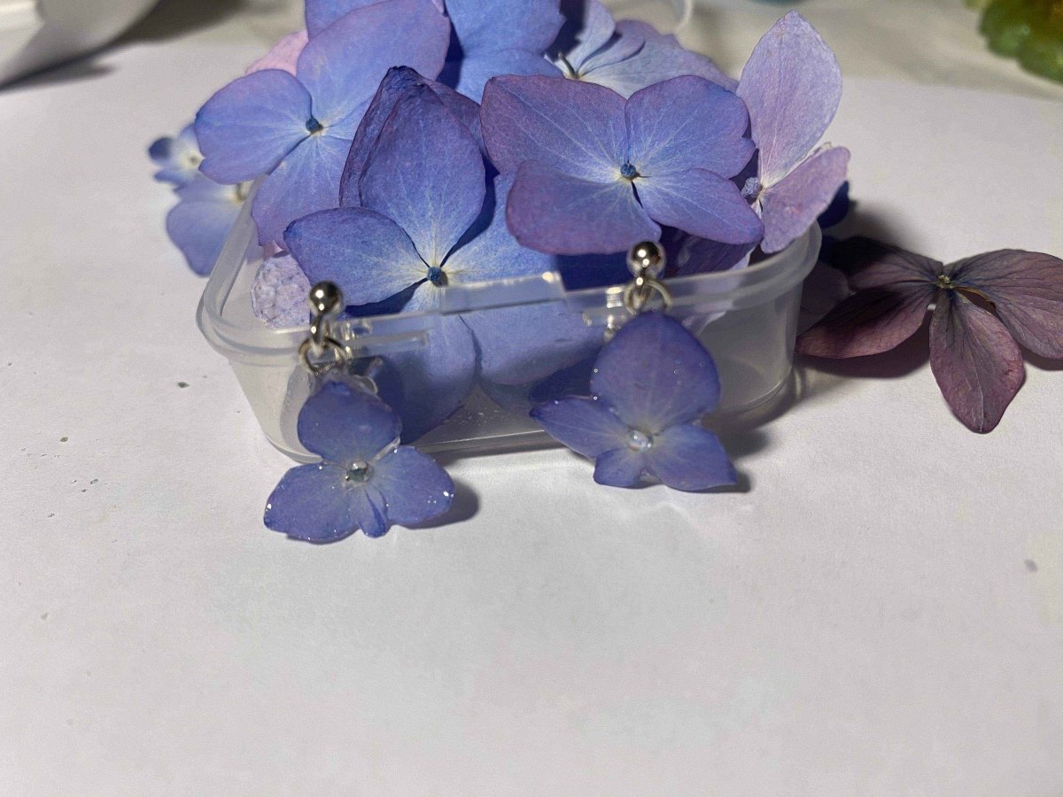 BLÅ HORTENSIA øredobber, 925 sølv, ekte tørkede blomster - KNASK
