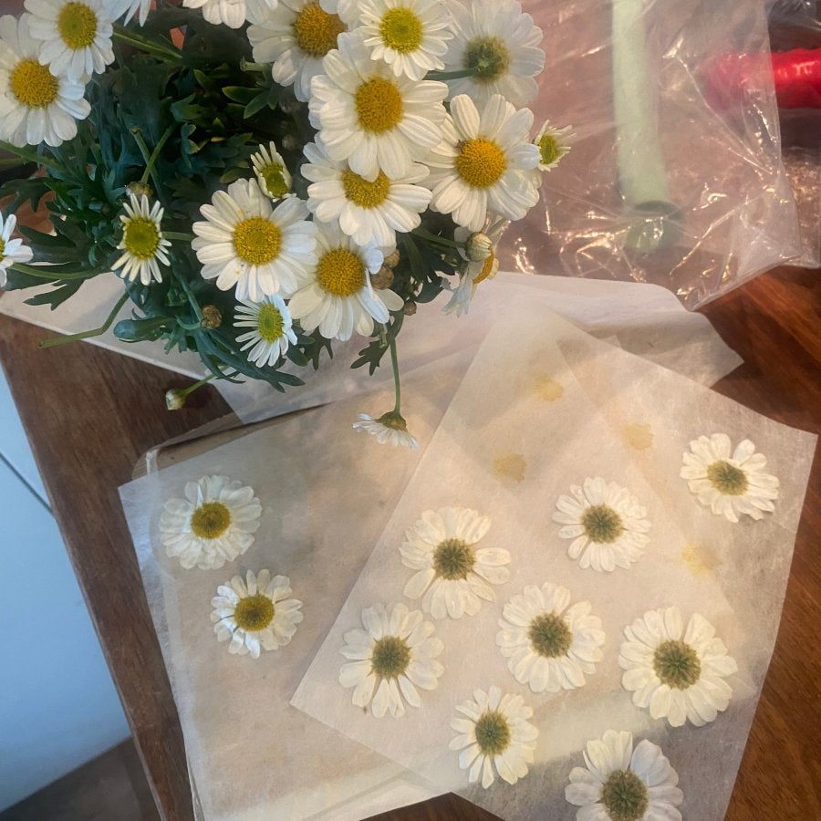 MARGERITT blomstersmykke, 925 sølvkjede - KNASK