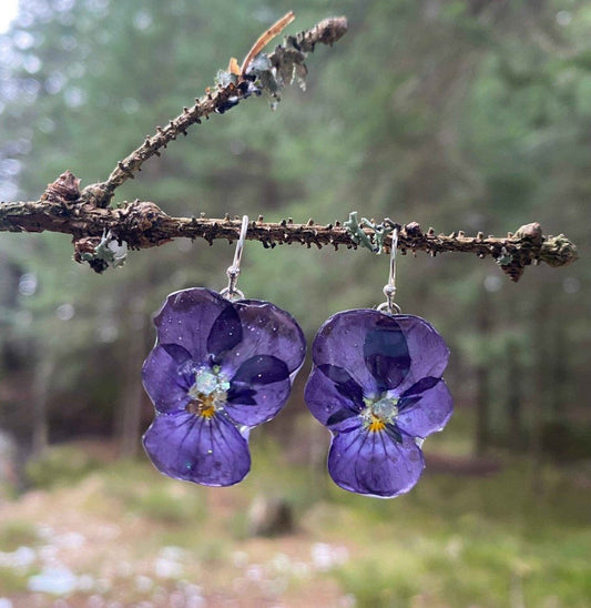 MIDNATT-FIOLER øredobber, 3D-tørket stemorsblomst, sølv ørekroker - KNASK