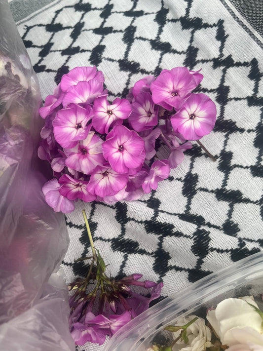 MIN LILLE HAGE kolleksjon - KNASK