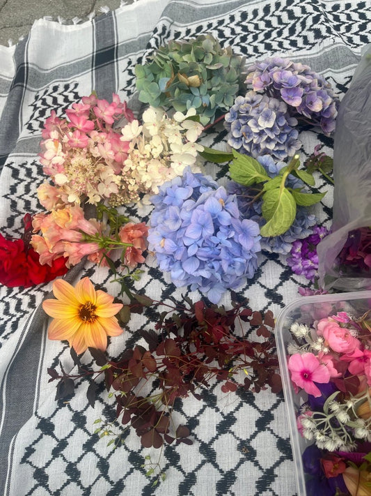 MIN LILLE HAGE kolleksjon - KNASK