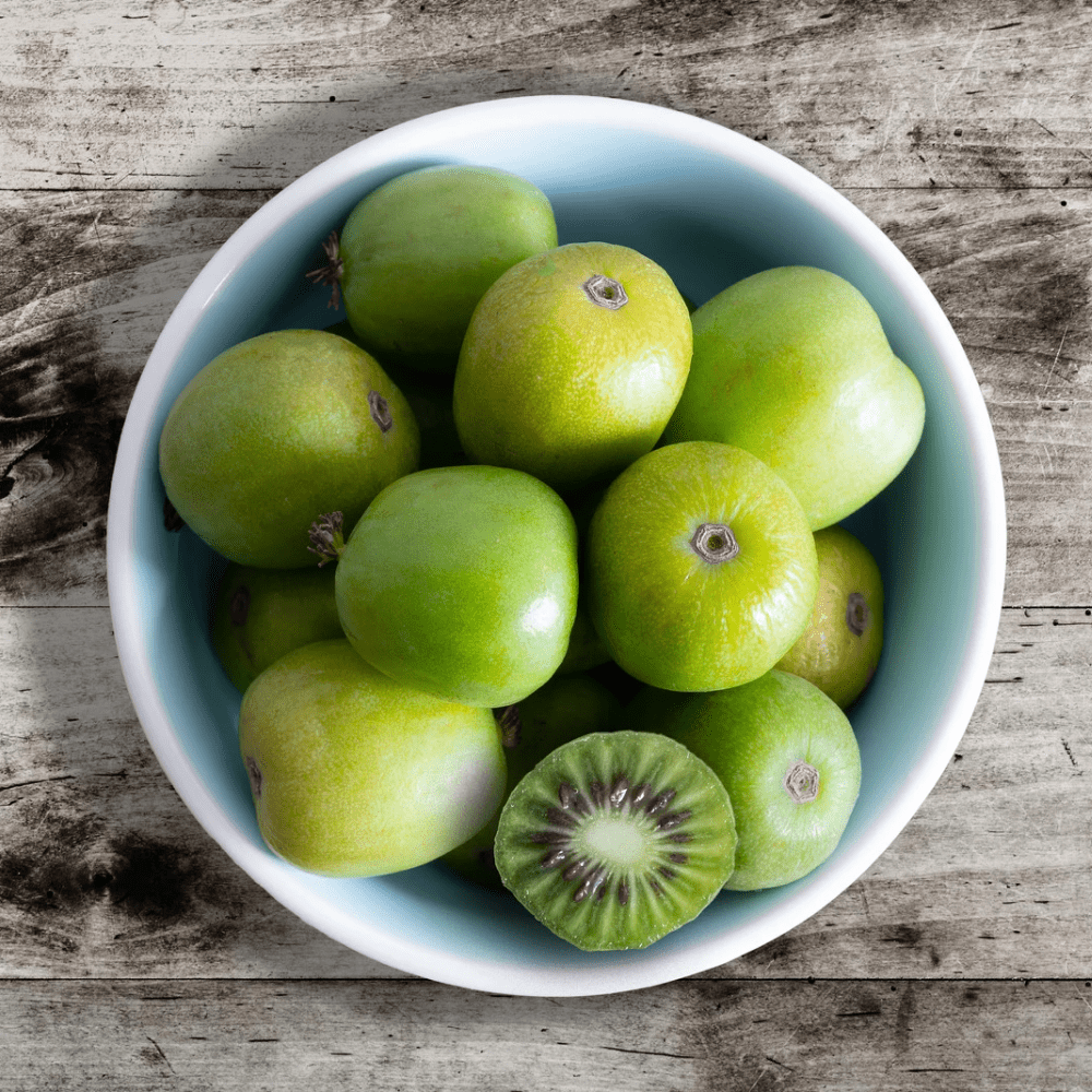 MiniKiwi KIWIBÆR øredobber, ekte tørket frukt - Øredobber KNASK