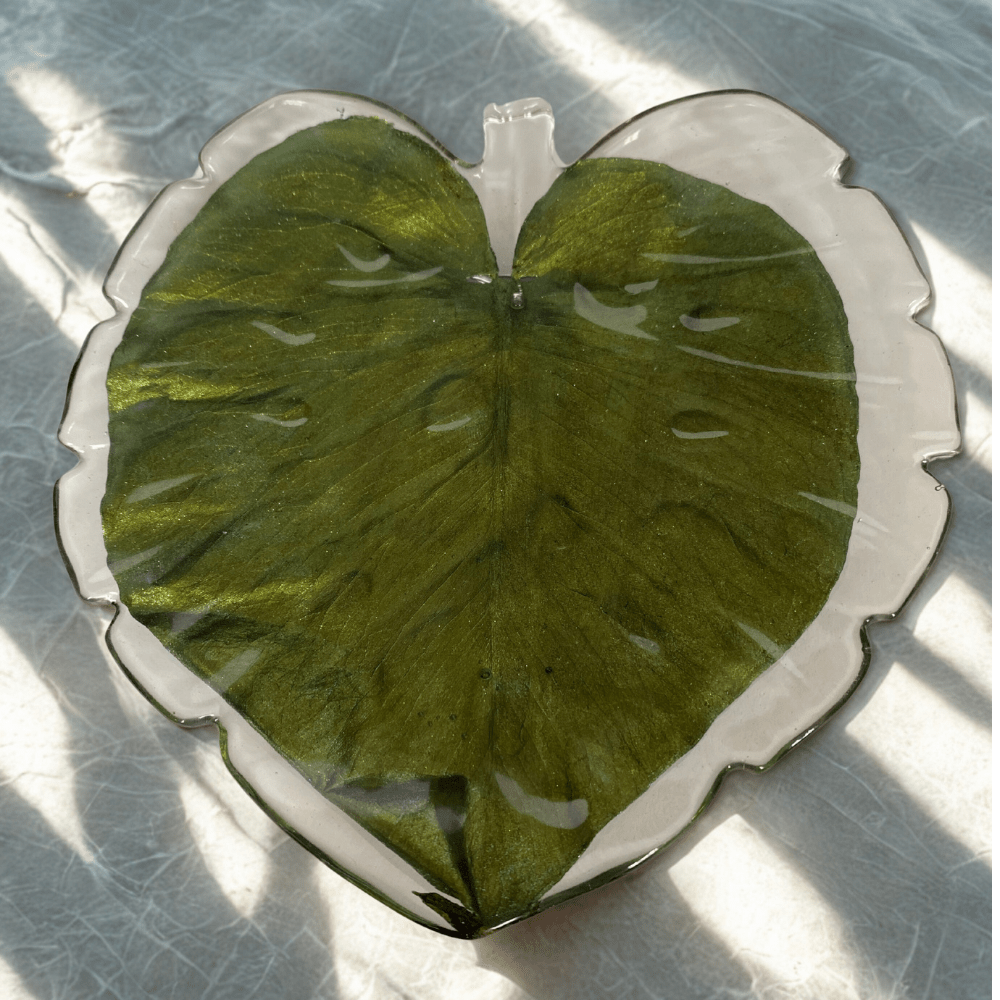 MONSTERA fat, ekte tørket blad (kun 1 finnes!) - Interiør KNASK