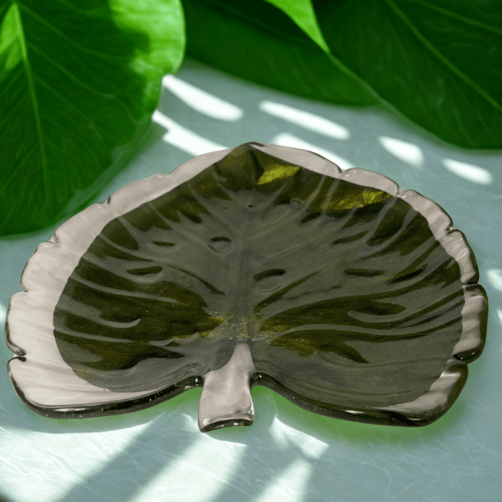 MONSTERA fat, ekte tørket blad (kun 1 finnes!) - Interiør KNASK