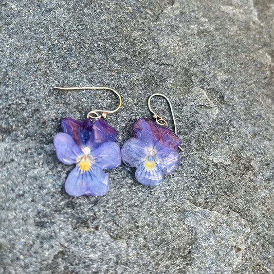 NORDLYS FIOL øredobber av ekte 3D-tørker stemorsblomst, 925 sølv ørekroker - KNASK