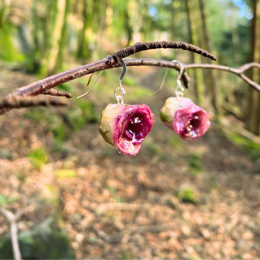 LYSEROSA ROSER blomster-øredobber, 925 sølv ørekroker - KNASK