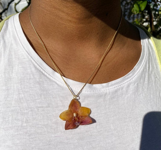 Osterøy POP-UP - KNASK