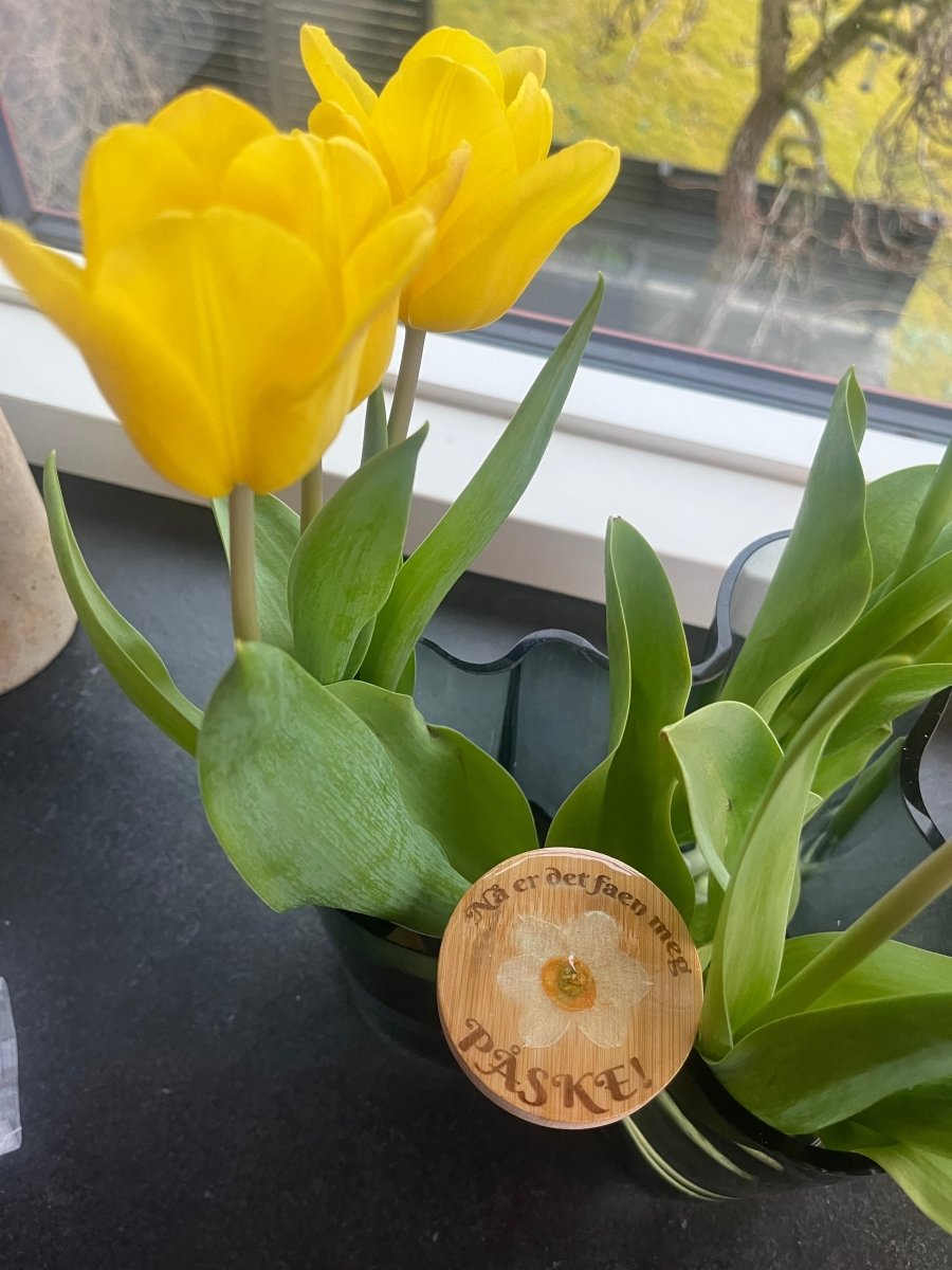 PÅSKE flaskeåpner - ekte tørket blomst - Interiør KNASK