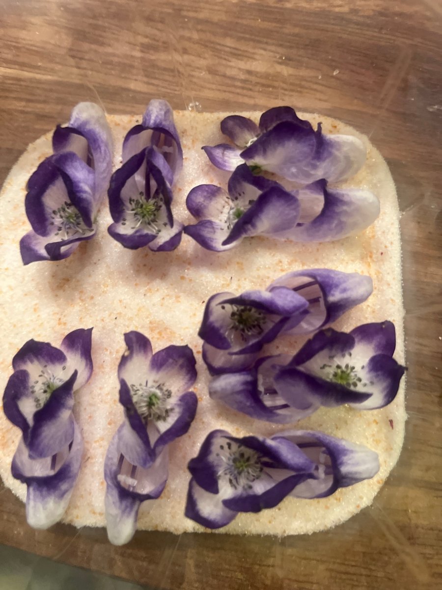 PRAKTHJELM - KNASK