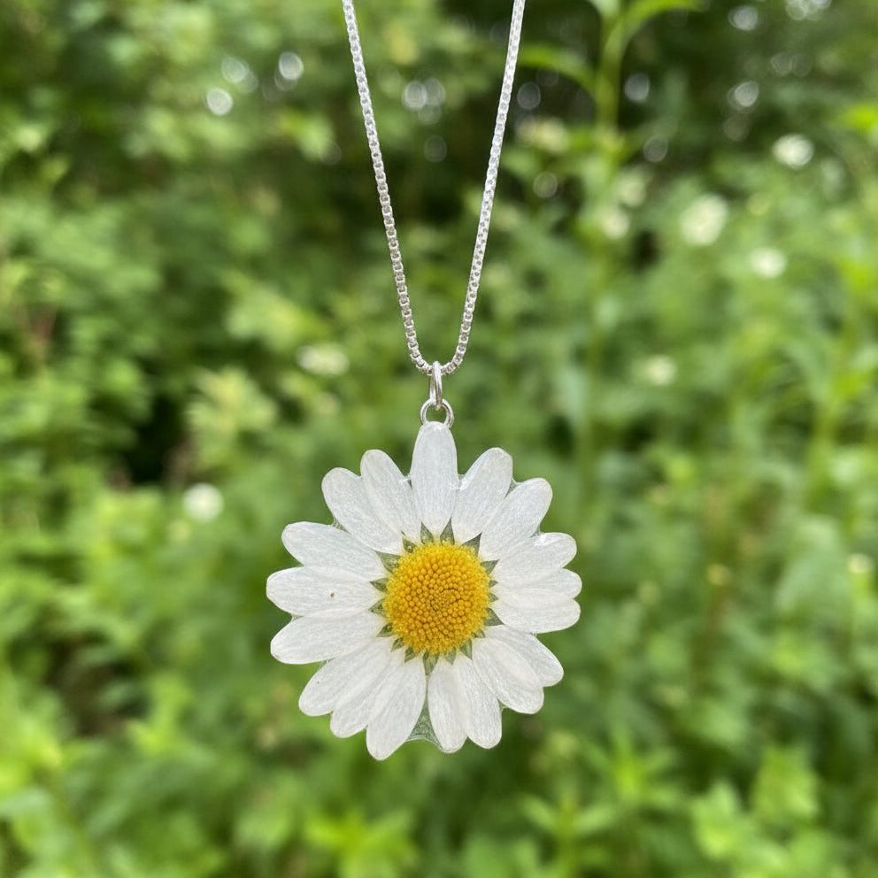 MARGERITT øredobber, 925 sølv ørekroker, ekte tørkede blomster - KNASK