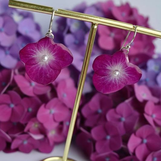 RØDROSA HORTENSIA øredobber, sølv ørekroker, ekte presset blomst - KNASK