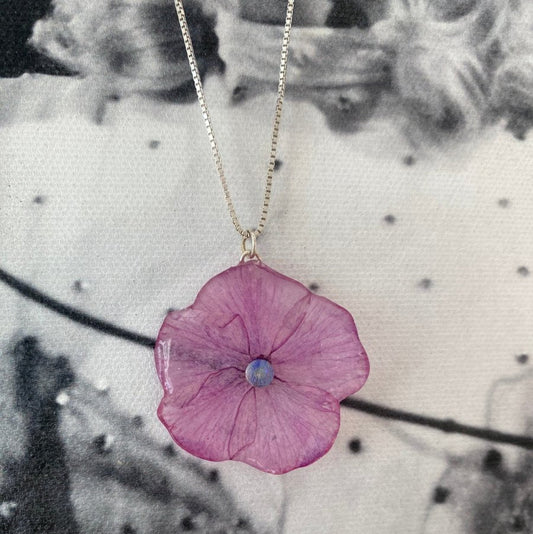 Rosa høstfloks-smykke, ekte presset blomst, 925 sølvkjede - KNASK