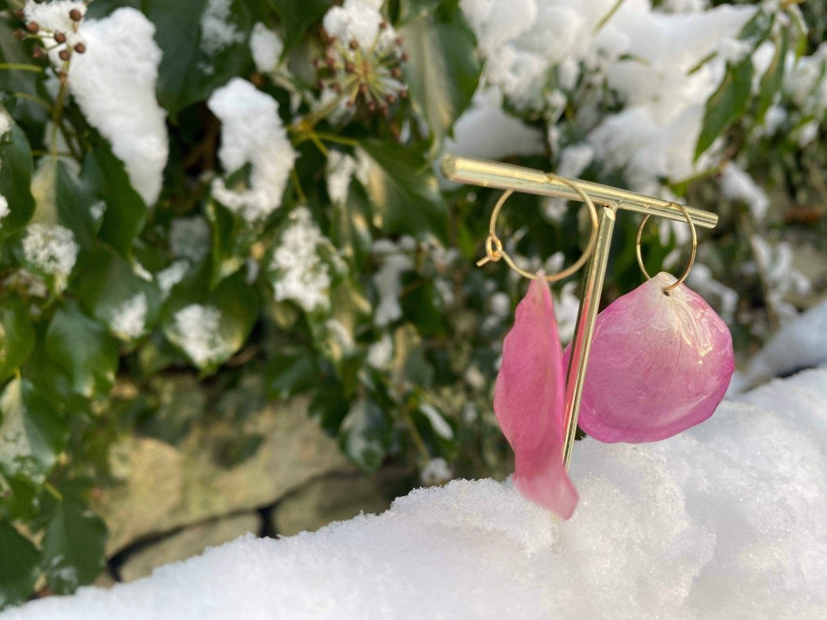 Rosa roseblad øreringer, 18K gull forgyllet stål - KNASK