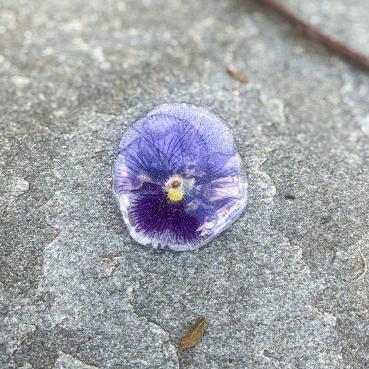 SKUMRING FIOL brosje av ekte stemorsblomst, metall - KNASK