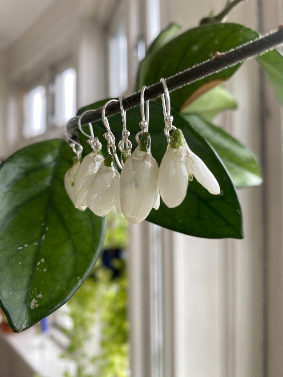 Osterøy POP-UP - KNASK