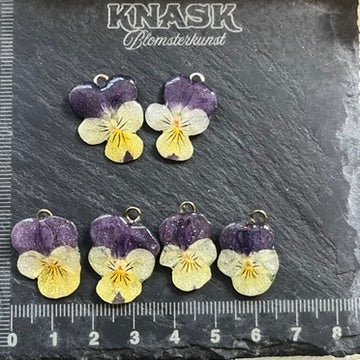 SOMMERHIT ORKIDÉ GAVESETT - ekte tørkede blomster, sølv - KNASK