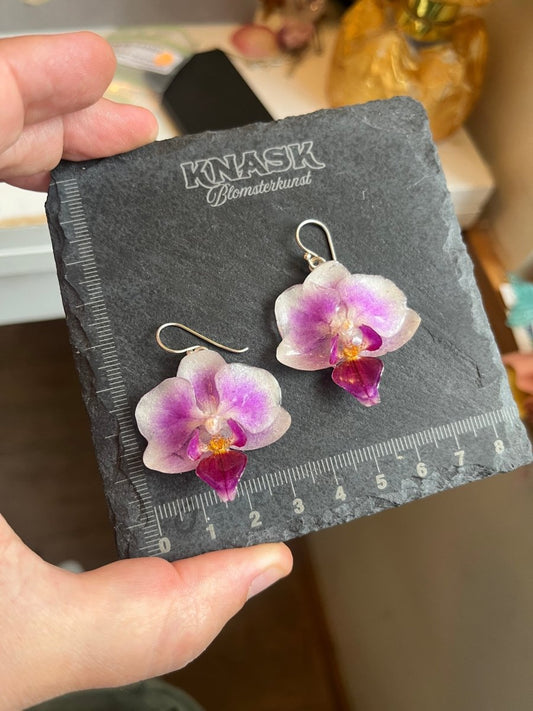 SOMMERHIT ORKIDÉ GAVESETT - ekte tørkede blomster, sølv - KNASK