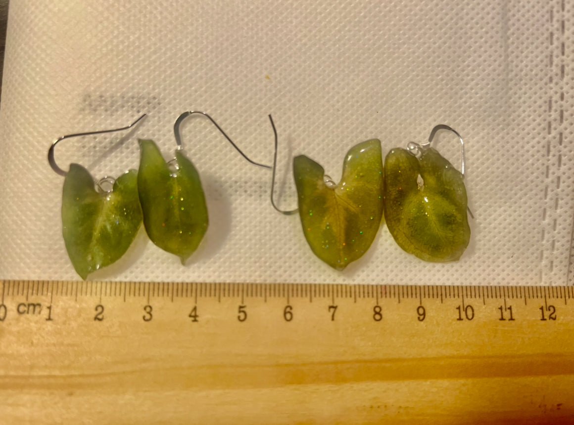 Syngonium pixie øredobber, 925 sølv planteøredobber - Øredobber KNASK