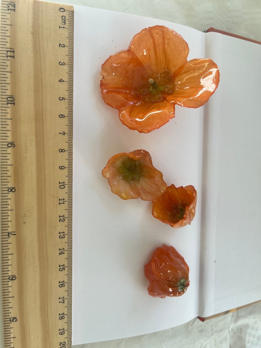 VALMUER øredobber, 3D - tørkede blomster, 925 sølv - Øredobber KNASK