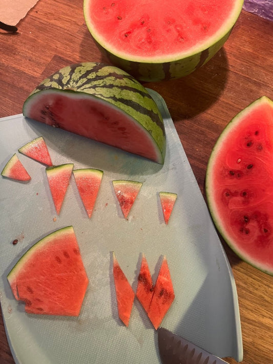 VANNMELON smykke, ekte tørket frukt, 925 sølv, FRI PALESTINA smykker 🇵🇸 - KNASK