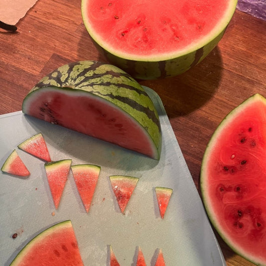 VANNMELON smykke, ekte tørket frukt, 925 sølv, FRI PALESTINA smykker 🇵🇸 - KNASK
