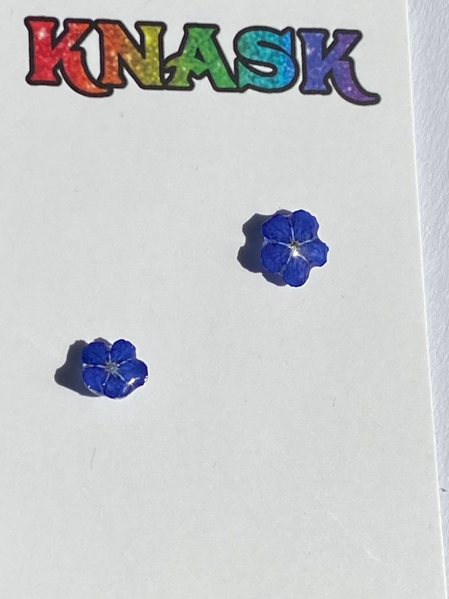 VÅRKJÆRMINNE øredobber, ekte tørkede blomster - Øredobber KNASK