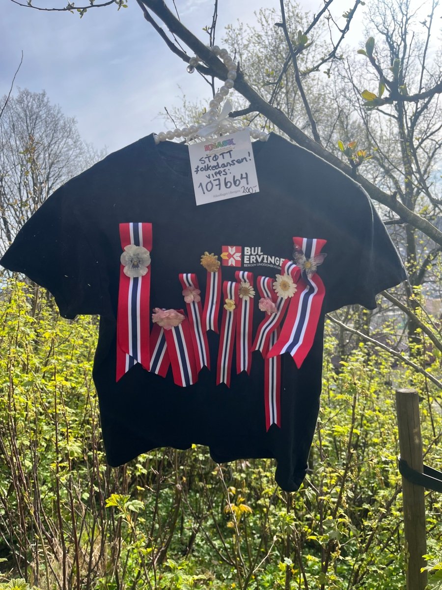 17. MAI SLØYFE brosje pins - ekte tørket blomst - KNASK