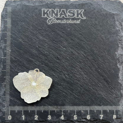 HORTENSIA smykke - ekte tørket blomst