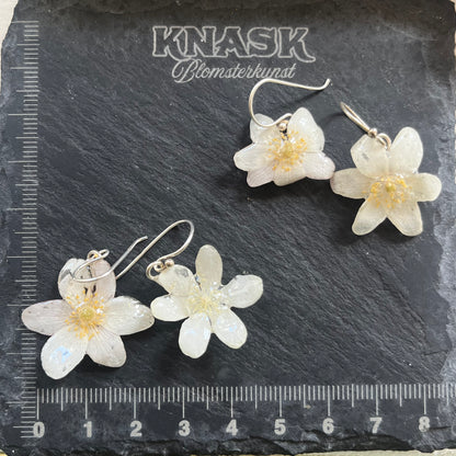 HVITVEIS øredobber - ekte tørkede blomster, sølv