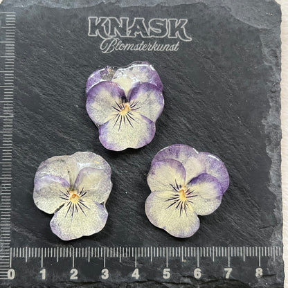 PASTELL FIOL smykke - ekte tørket blomst