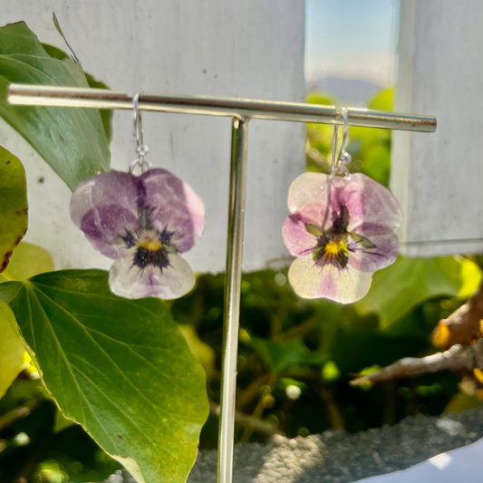 VIOLETTA øredobber, ekte stemorsblomst Viola tricolor, 925 sølv ørekroker