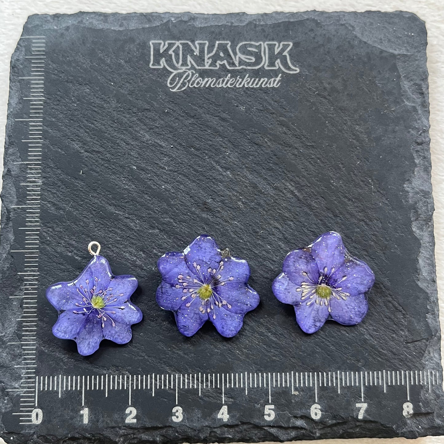 BLÅVEIS smykke - ekte tørket blomst