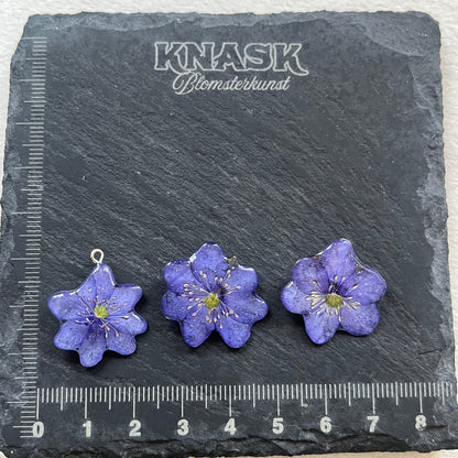 BLÅVEIS smykke - ekte tørket blomst