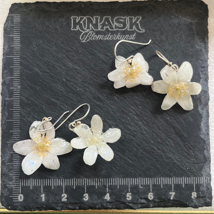 HVITVEIS øredobber - ekte tørkede blomster, sølv