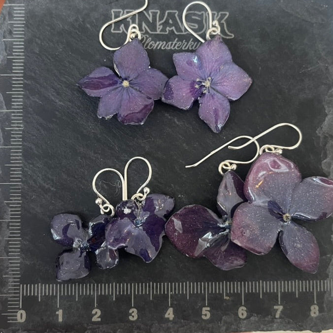 INDIGO HORTENSIA øredobber - ekte tørkede blomster, sølv