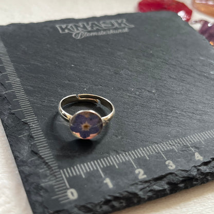 FORGLEMMEGEI ring - ekte tørket blomst