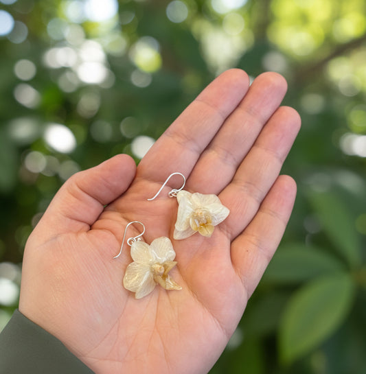 MINIATYR ORKIDÉ øredobber - ekte tørkede blomster