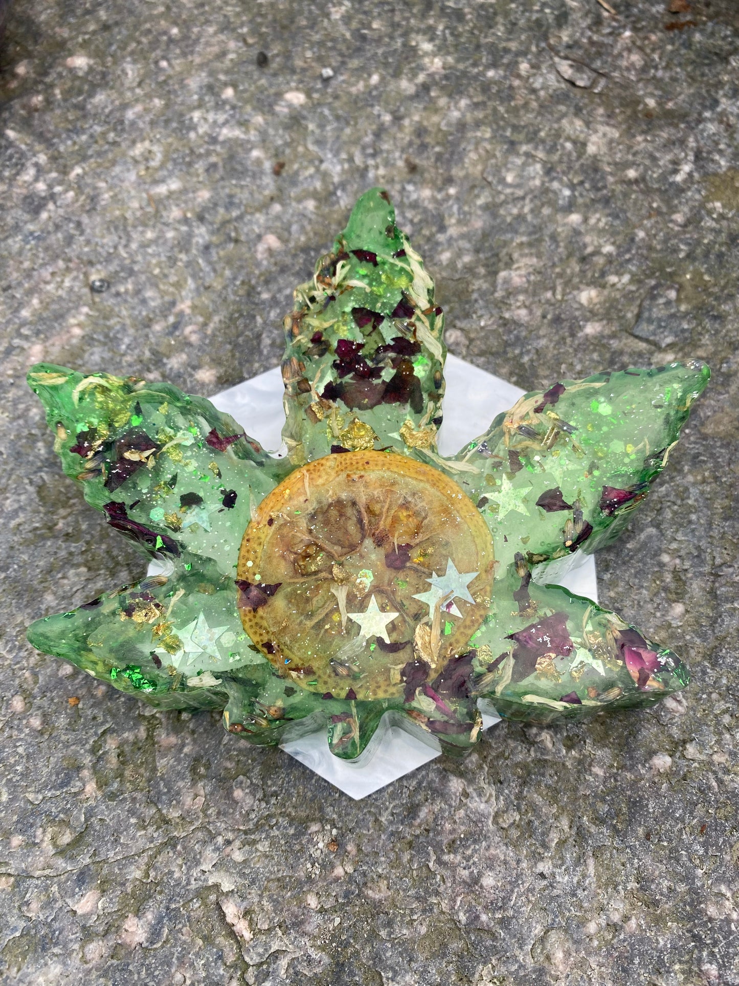 BREGNER skål - ekte tørket plante