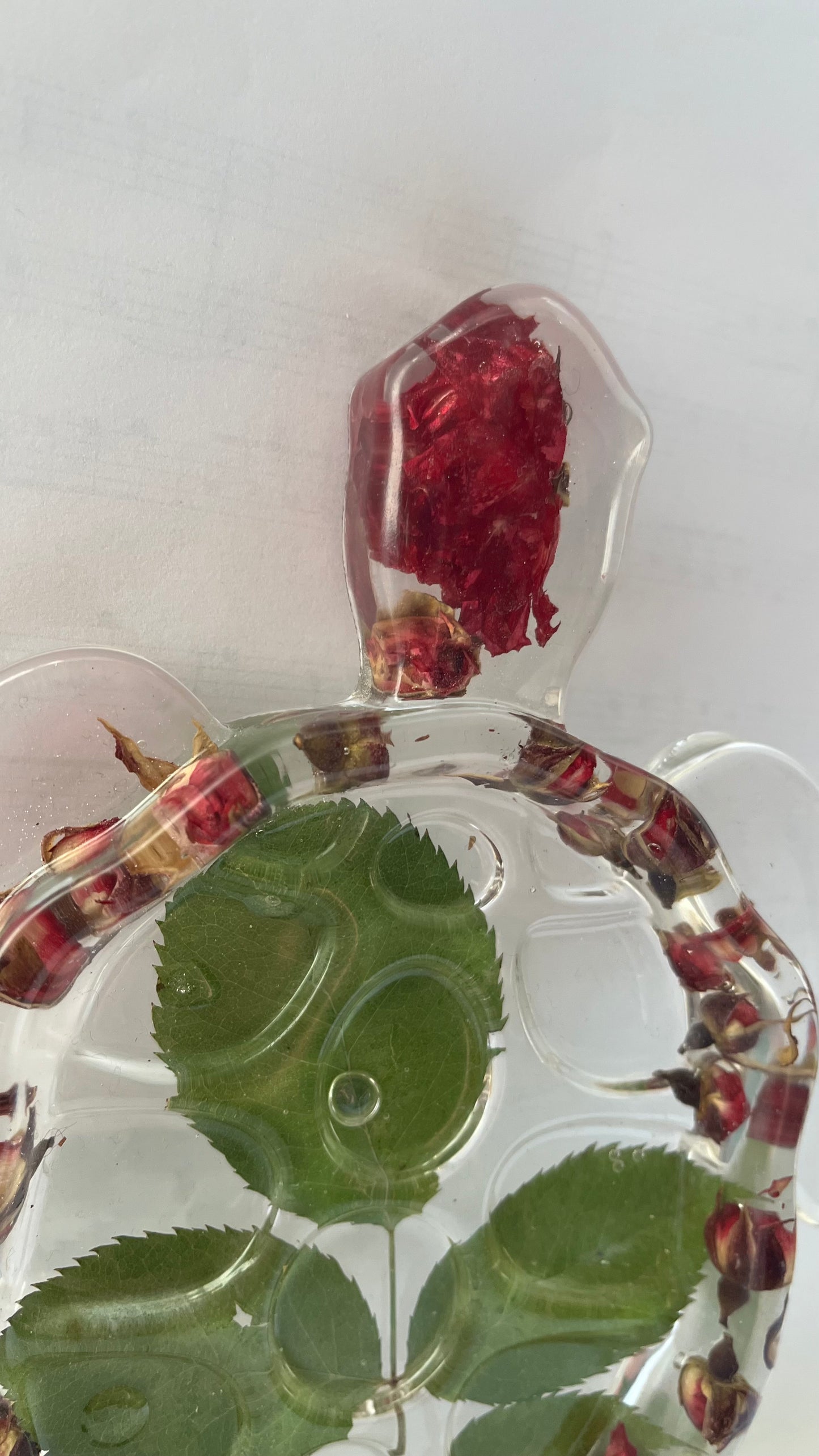 SKILPADDE pyntebrett - ekte roser