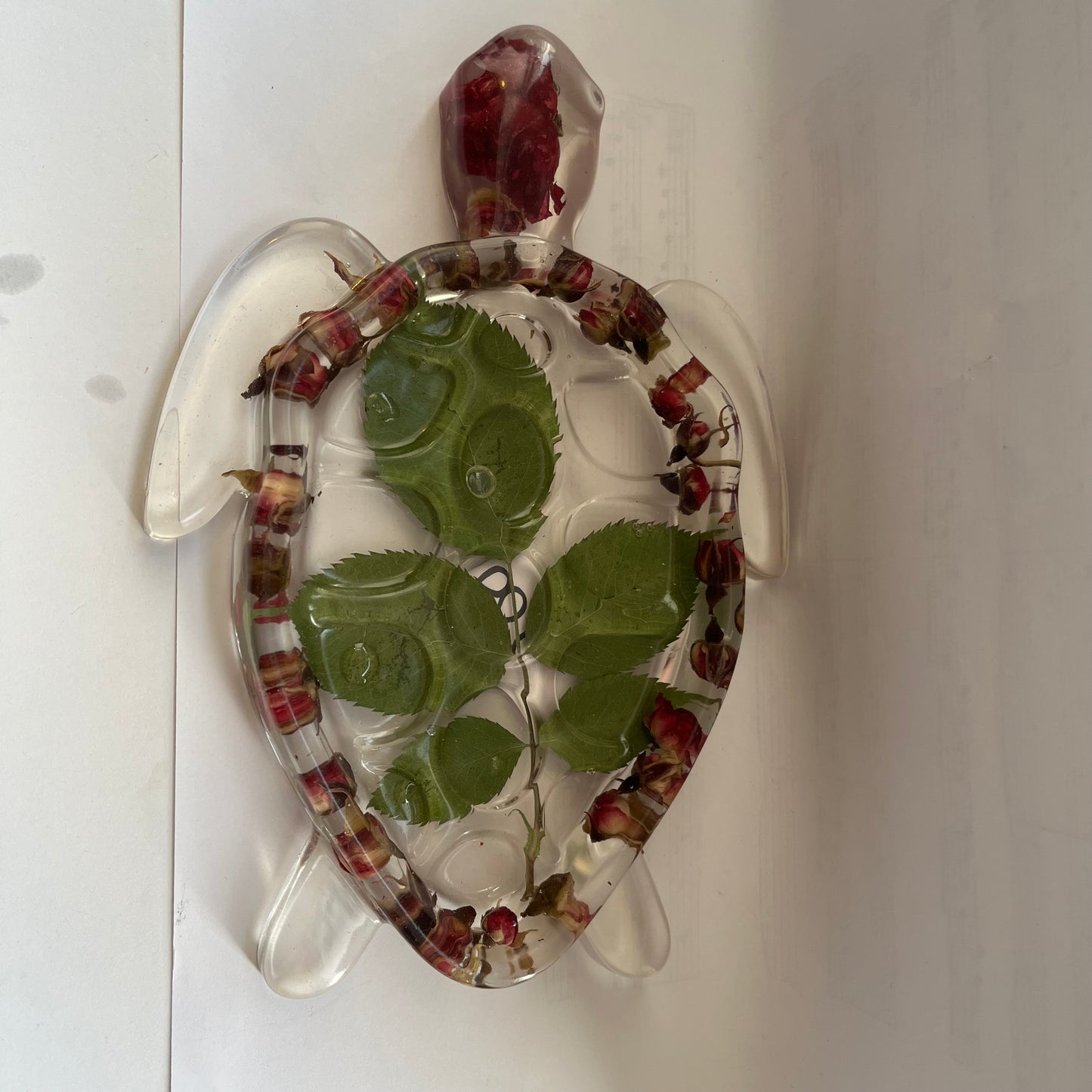 SKILPADDE pyntebrett - ekte roser