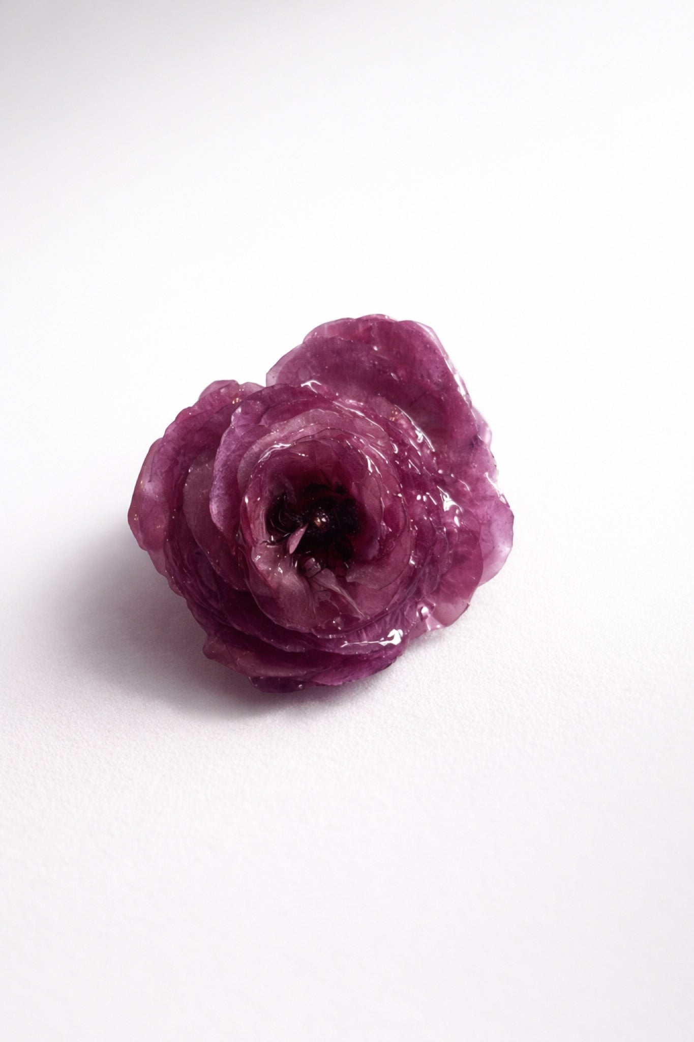 RANUNKEL hårspenne - ekte tørket blomst, krokodilleklemme