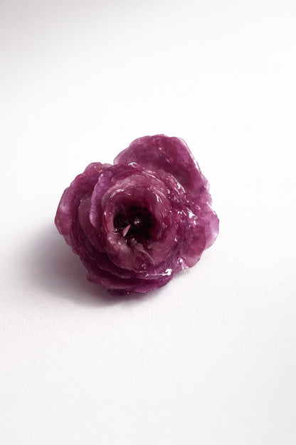 RANUNKEL hårspenne - ekte tørket blomst, krokodilleklemme