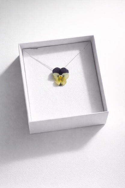 MINI FIOL mini smykke - ekte tørket stemorsblomst, Viola tricolor