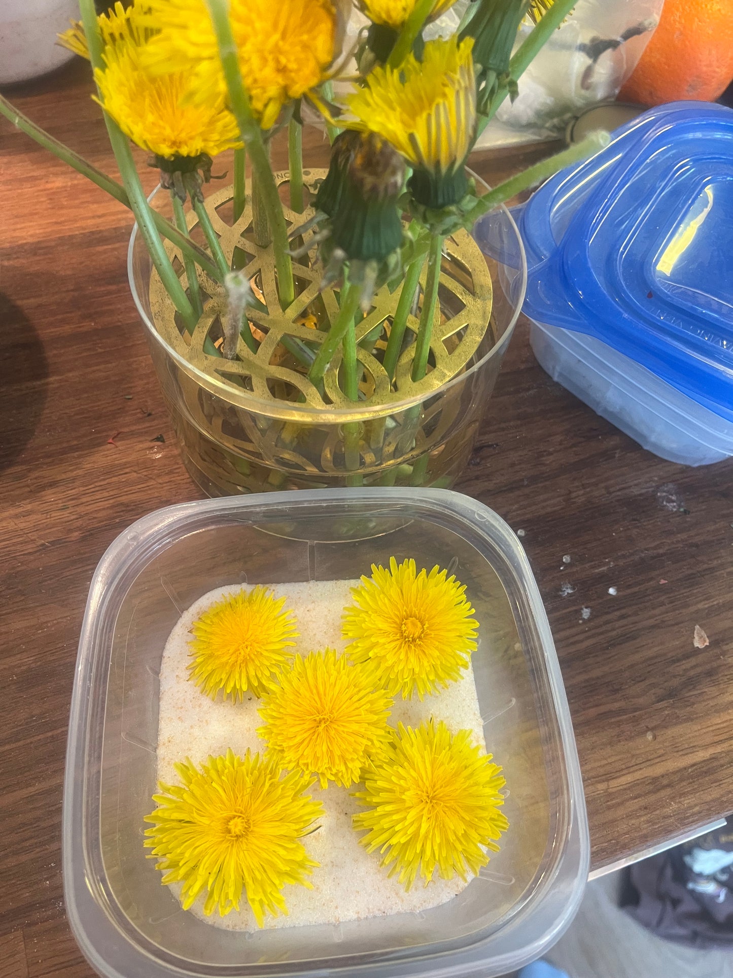 LØVETANN smykke - ekte tørket blomst